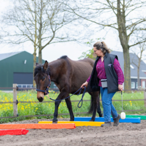 Nadia Penenrs spreker Ezellogica community