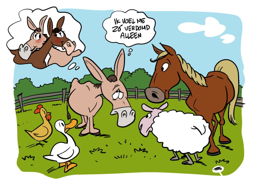 Eén ezel is geen ezel