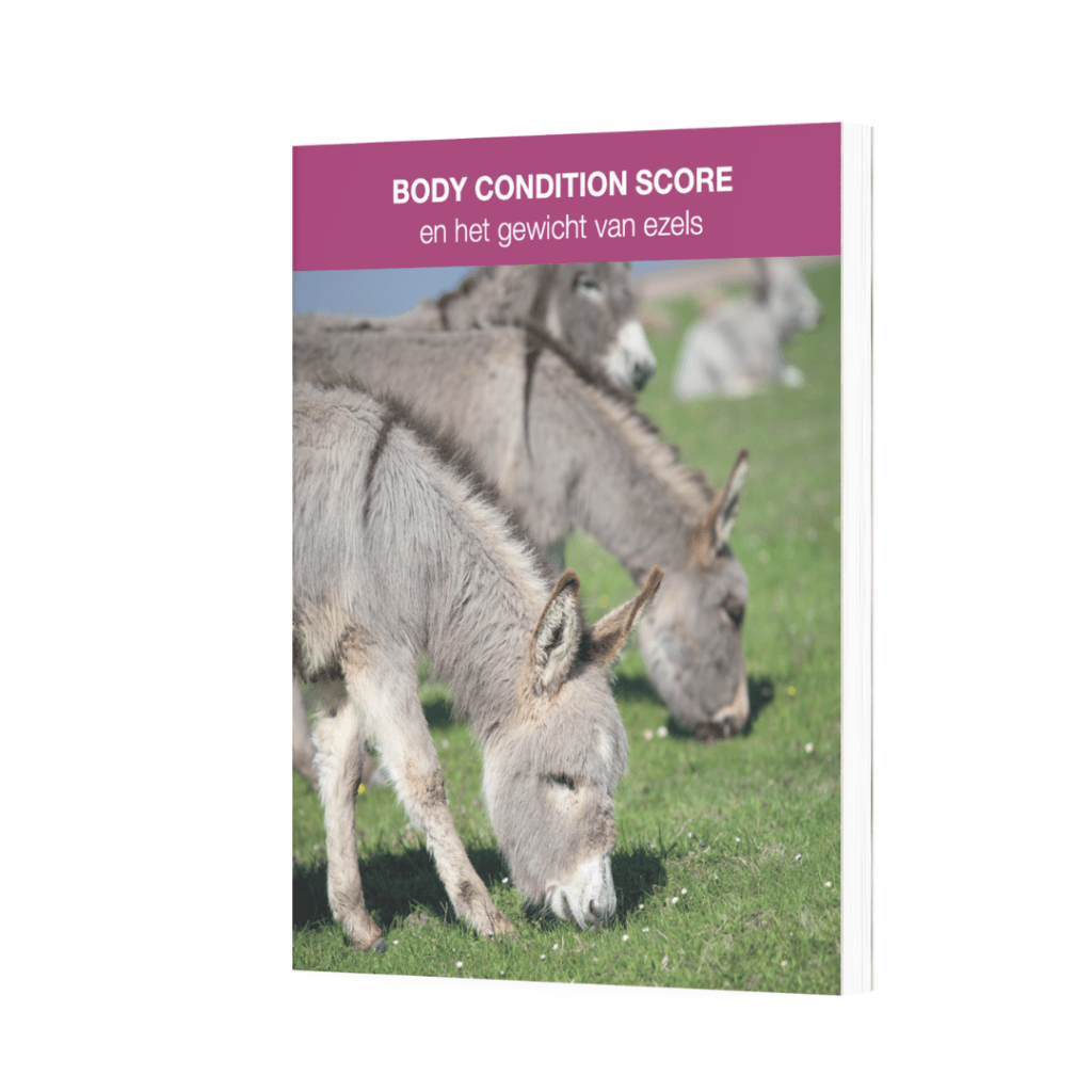 ebook Body Condition Score ezels