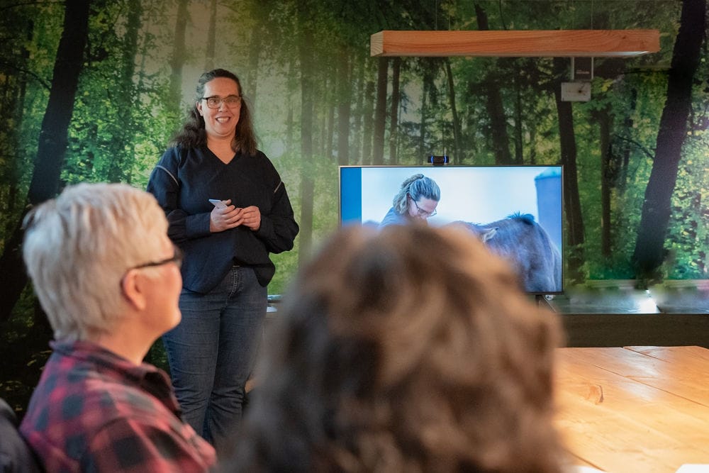 Foto Workshop ezels houden en trainen