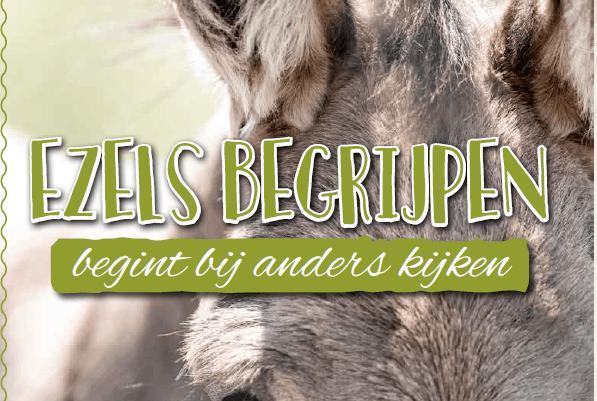 Afbeelding Level Up magazine artikel Ezels begrijpen